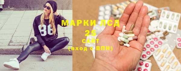 шишки Арсеньев