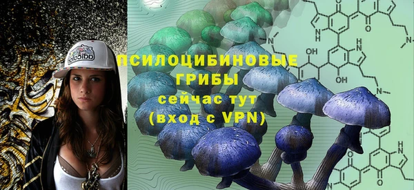 сатива Аркадак