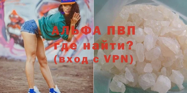 шишки Арсеньев