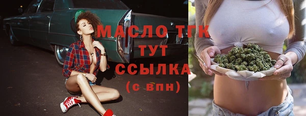 шишки Арсеньев
