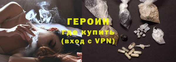 шишки Арсеньев