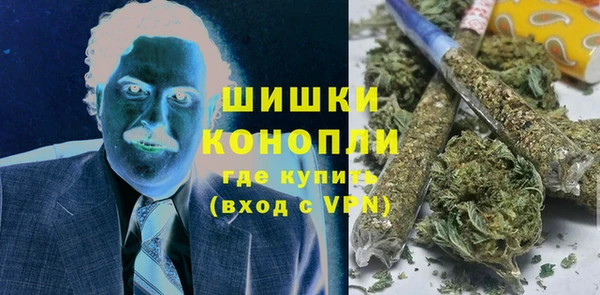 сатива Аркадак