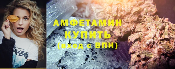 сатива Аркадак
