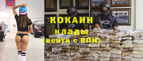 шишки Арсеньев