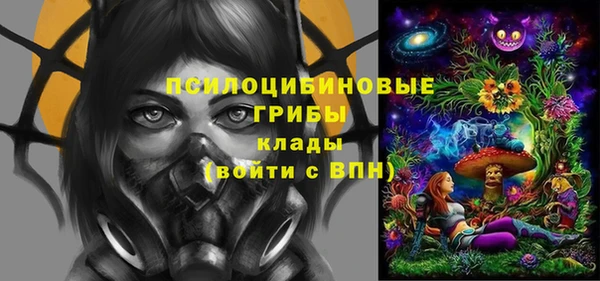 сатива Аркадак