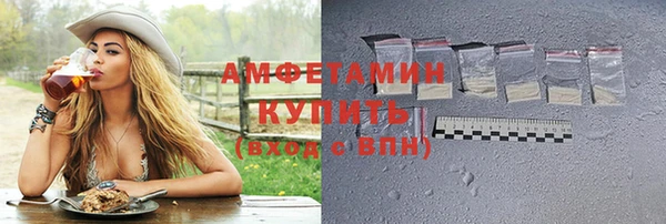 шишки Арсеньев