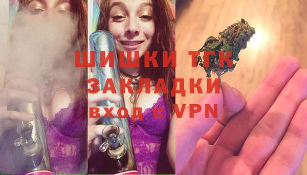 сатива Аркадак