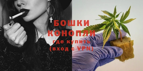 шишки Арсеньев