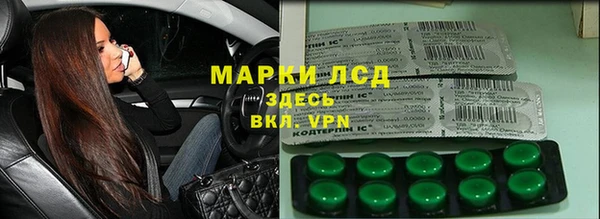 шишки Арсеньев