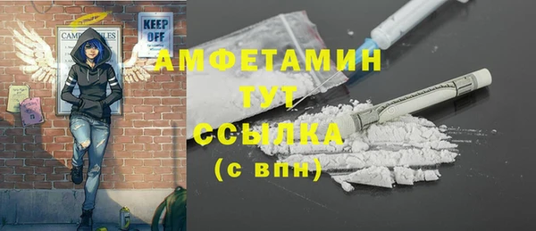 шишки Арсеньев