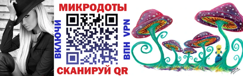 Галлюциногенные грибы Psilocybe Ревда
